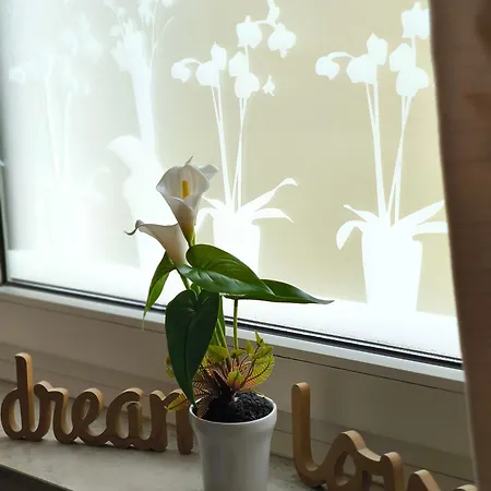 Apartament Nuernberg Apartment Norymberga